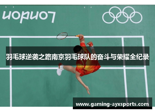 羽毛球逆袭之路南京羽毛球队的奋斗与荣耀全纪录